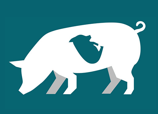 Illustration af drægtig gris