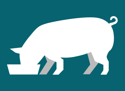 Illustration af gris, der spiser