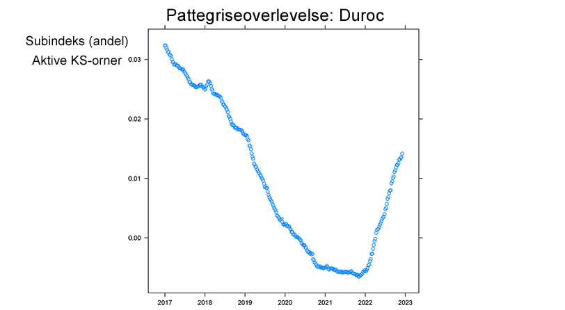 Graf over pattegriseoverlevelse - gennemsnit af aktive Duroc KS-orner i Danmark