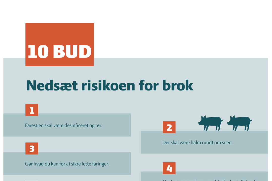 Ti bud om brok