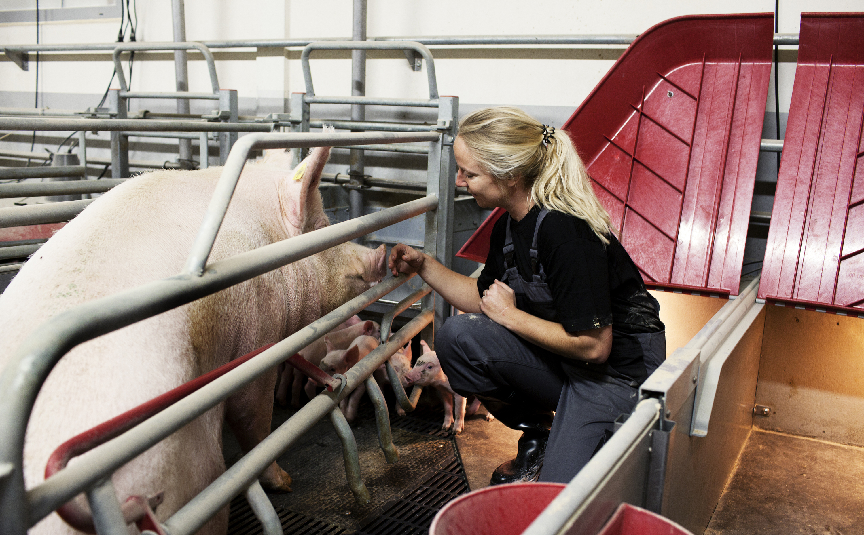 So i boks og medarbejder