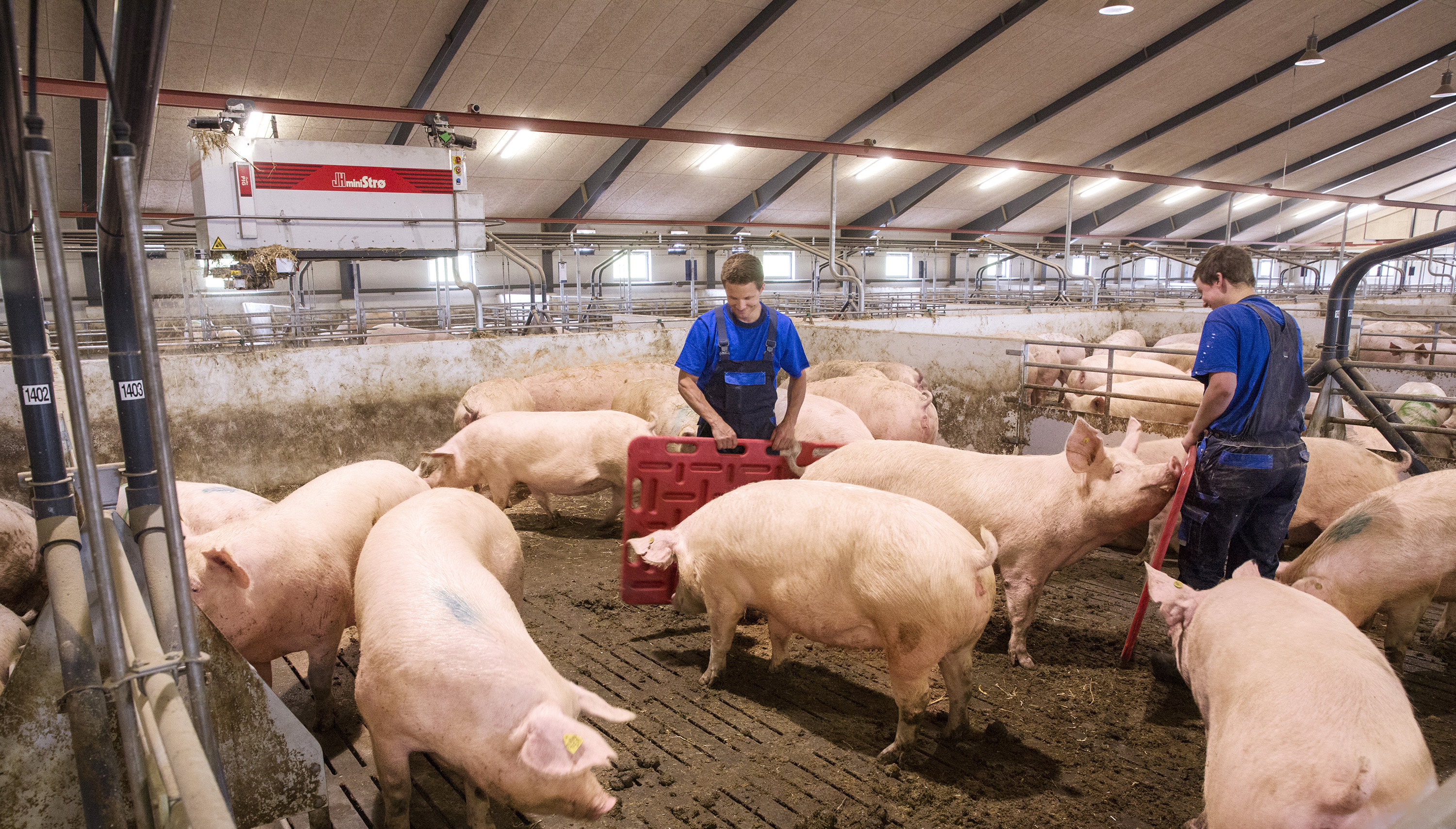 Søer og medarbejdere