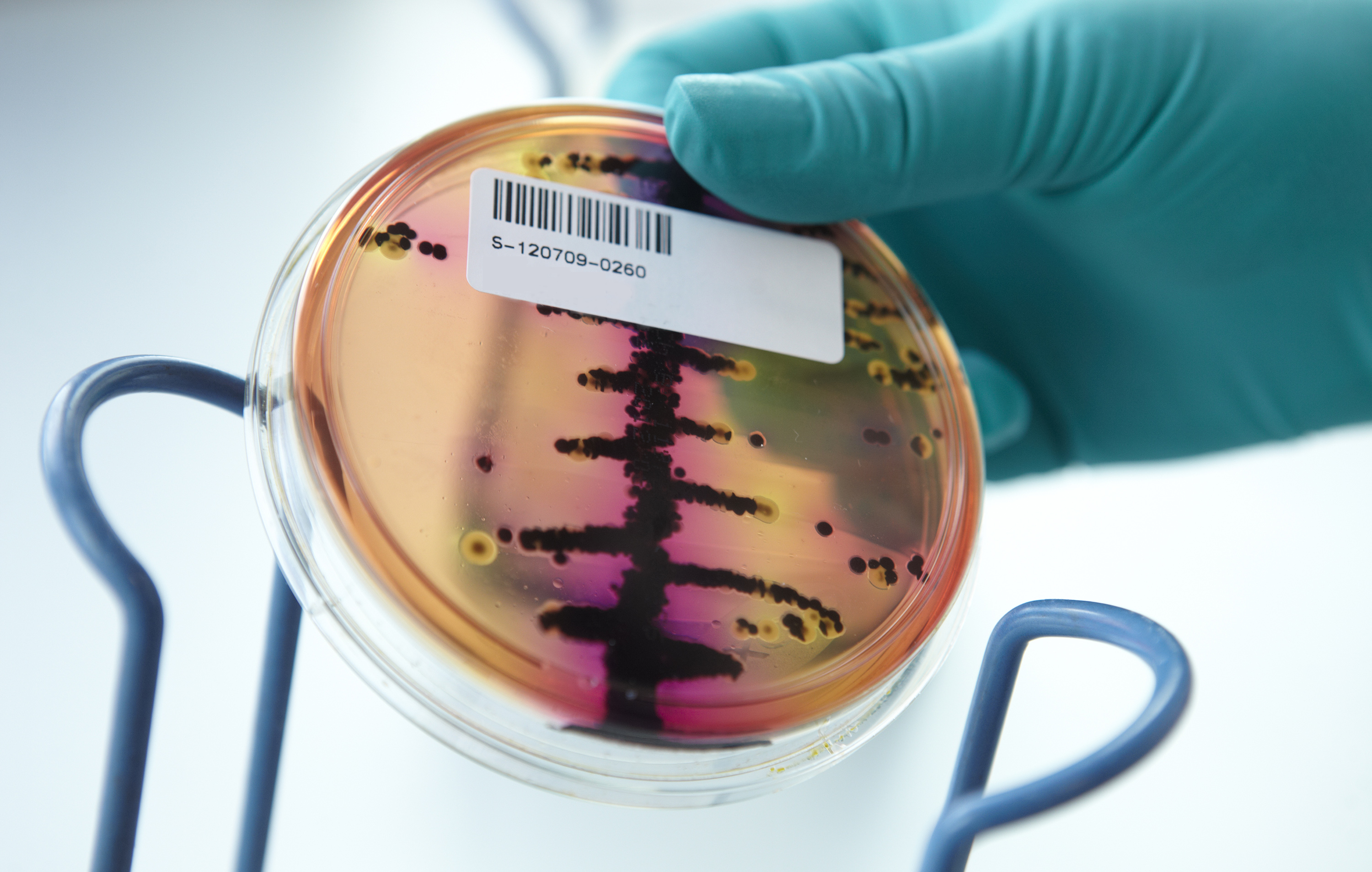 Laboratorieundersoegelse