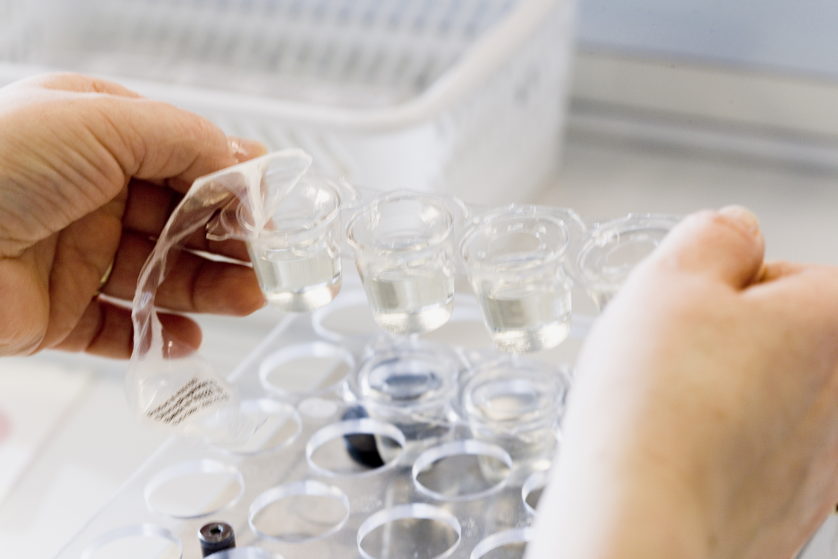 Undersøgelse af materiale fra svin