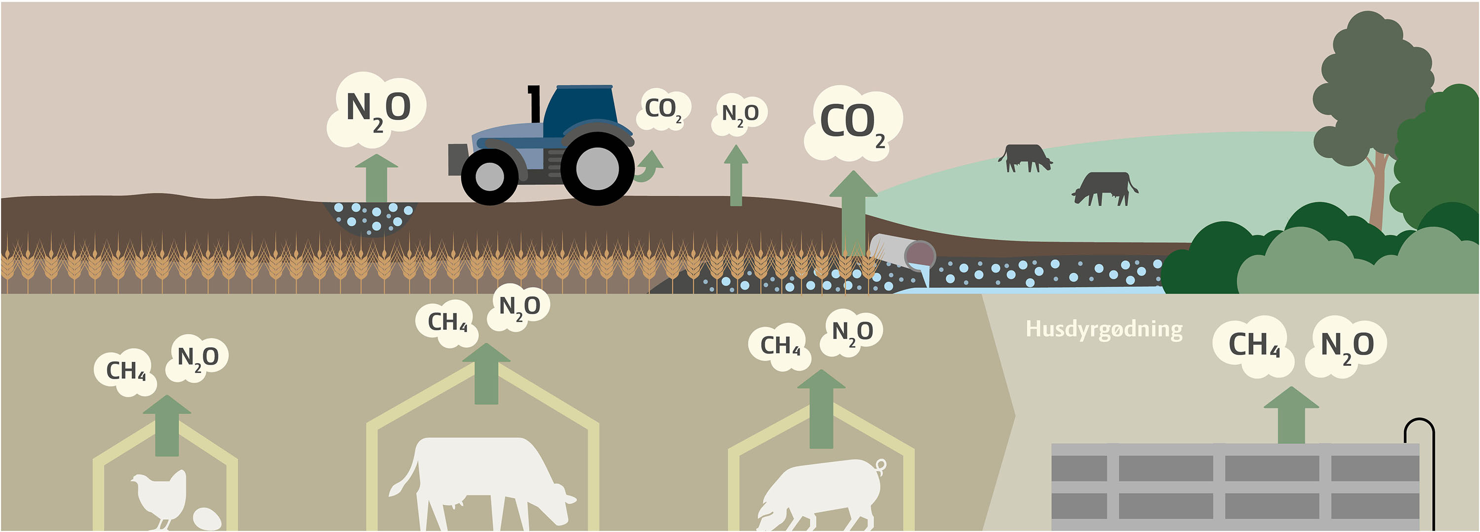 Infografik af en grisebedrifts klimaaftryk