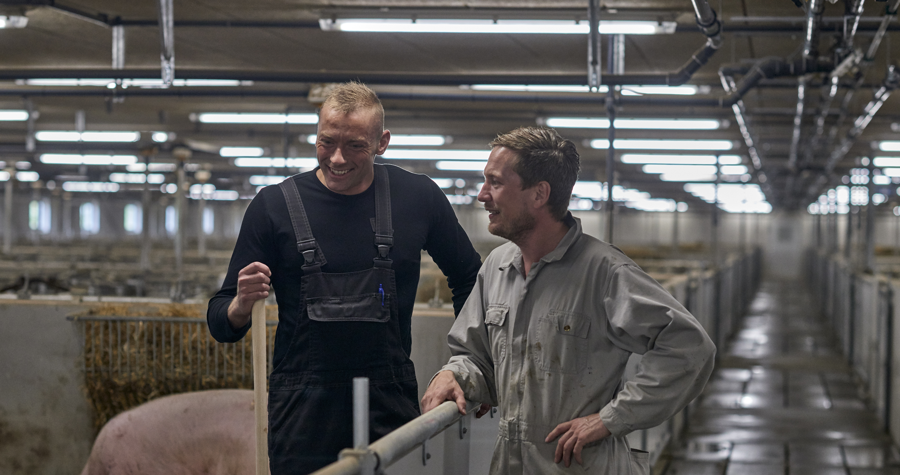 Medarbejdere i stalden