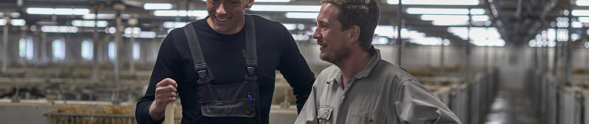 Medarbejdere i stalden