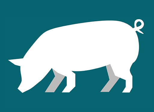 Illustration af gris med krølle på halen