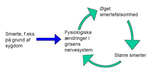 Tegning af smertens onde cirkel