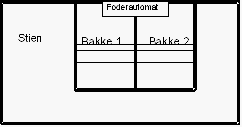 Figur 1. Skitse af opsamlingsbakkerne samt foderautomatens placering på disse 