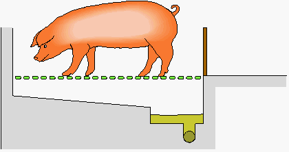 Sektion 3. Fuldspaltegulv