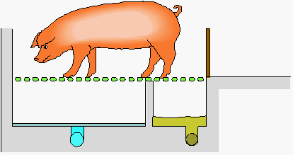 Figur 4. Opdelt gyllekumme. Gyllekanal var 0,95 m bred. Kanal under soen var 1,40 m bred