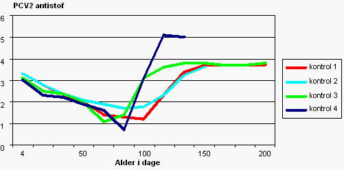 Figur 2. Serologiske profiler for PCV2 i undersøgelsens fire kontrolbesætninger