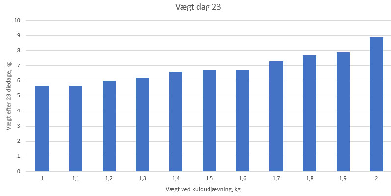 Tabel, der viser vægt hos pattegrise ved dag 23