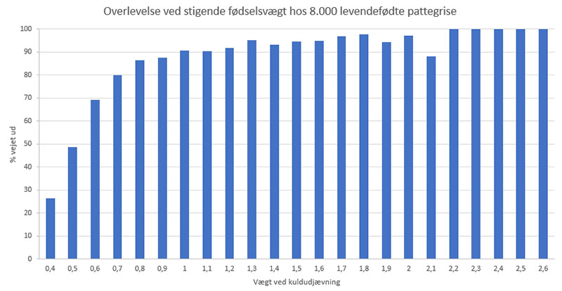 Overlevelse ved stigende fødselsvægt hos 8.000 levendefødte pattegrise